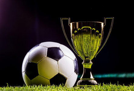 使得切尔西 使得切尔西